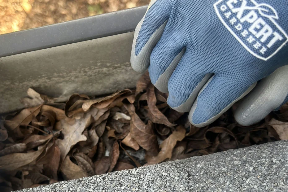 Gutter Cleaning Hollywood Park TX