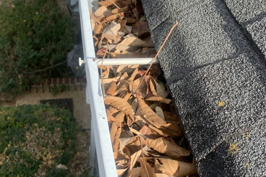 Gutter Cleaning Hollywood Park TX