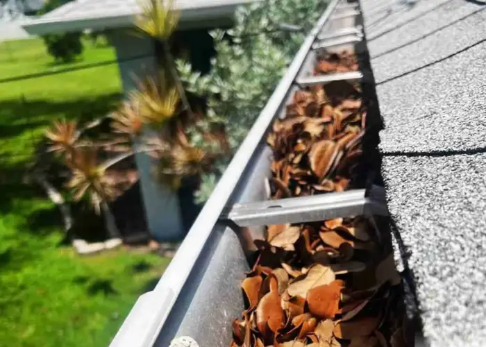 Gutter Cleaning Hollywood Park TX home page